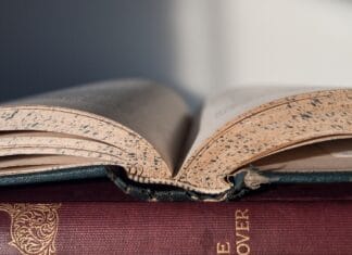 Co oznacza „menu du jour”? I jak to działa?