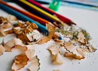 Jak przygotować się do egzaminu TCF z języka francuskiego?