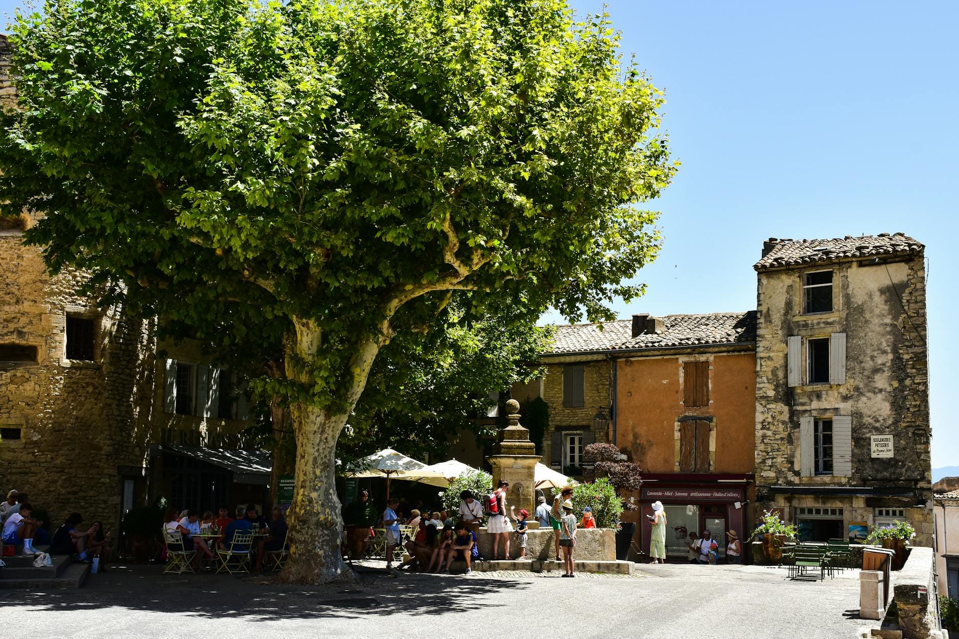 Gwarny prowansalski rynek z kawiarnią w cieniu dużego drzewa