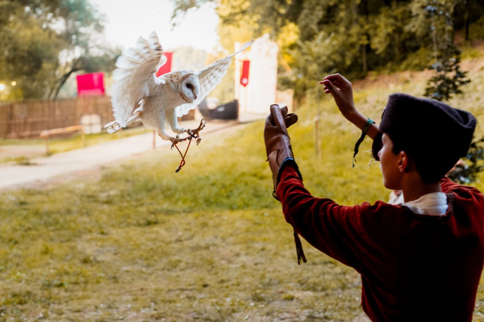 Puy du Fou z dziećmi: jak zorganizować wizytę w parku historycznym bez znajomości francuskiego?